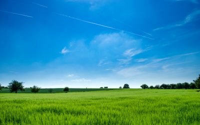 agriculture-bright-clouds-440731-1