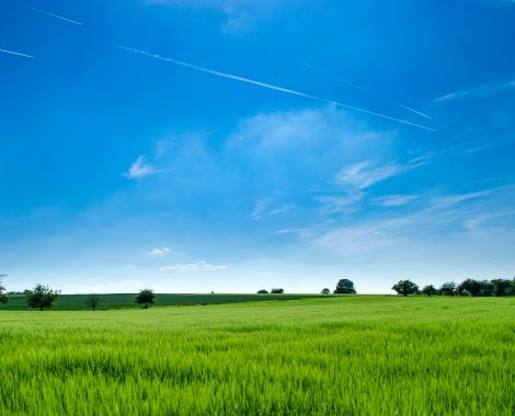 agriculture-bright-clouds-440731-1