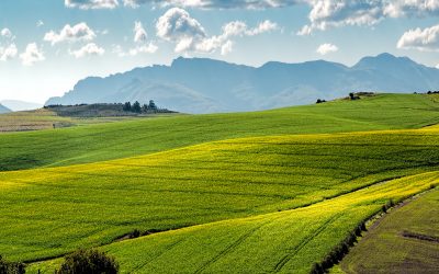 agriculture-countryside-crop-259280