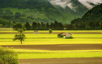 countryside-field-hd-wallpaper-66874