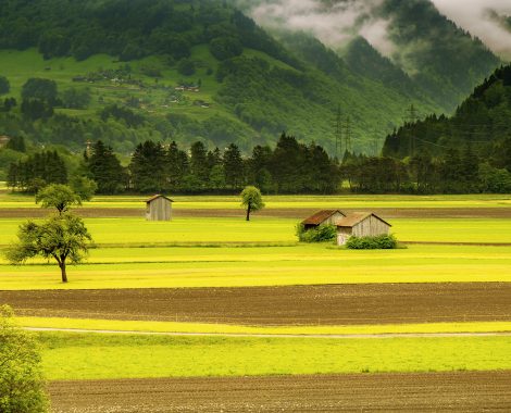 countryside-field-hd-wallpaper-66874